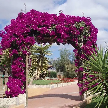 La Bonita Las Galletas
